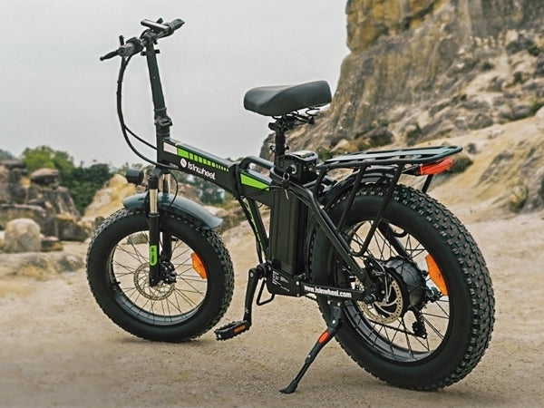 Meet the Isinwheel D4 Electric Bike