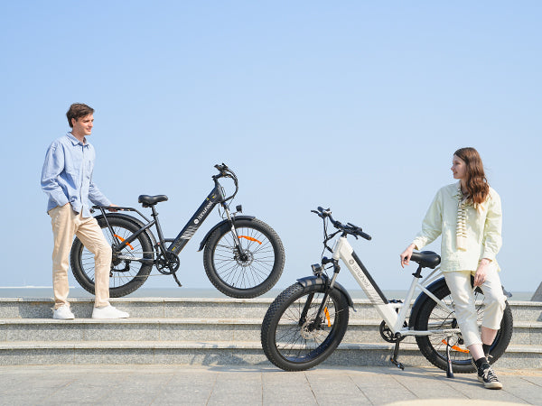 isinwheel M60 All-terrain Electric Bike