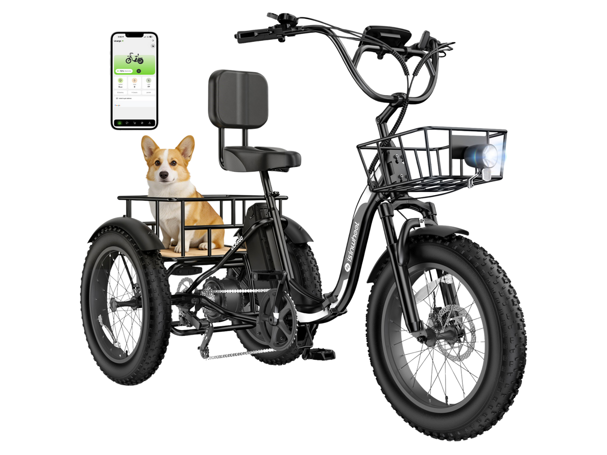 isinwheel Ucargo Electric Tricycle