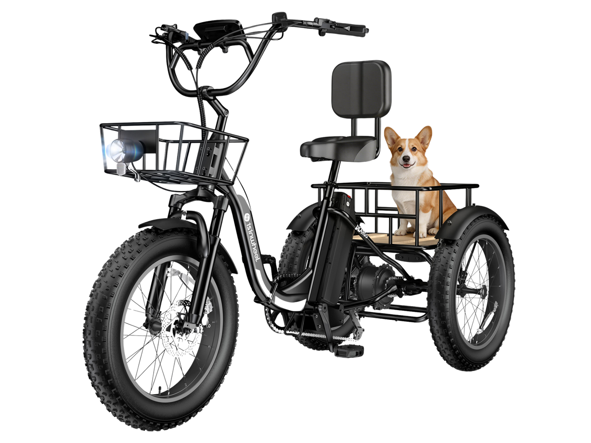 isinwheel Ucargo Electric Tricycle