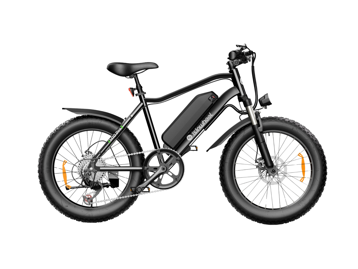 isinwheel M10Pro Electric Bike for Adults