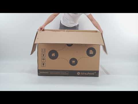 isinwheel U5 Folding Electric Bike