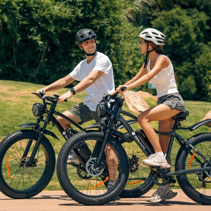 Electric Bicycle