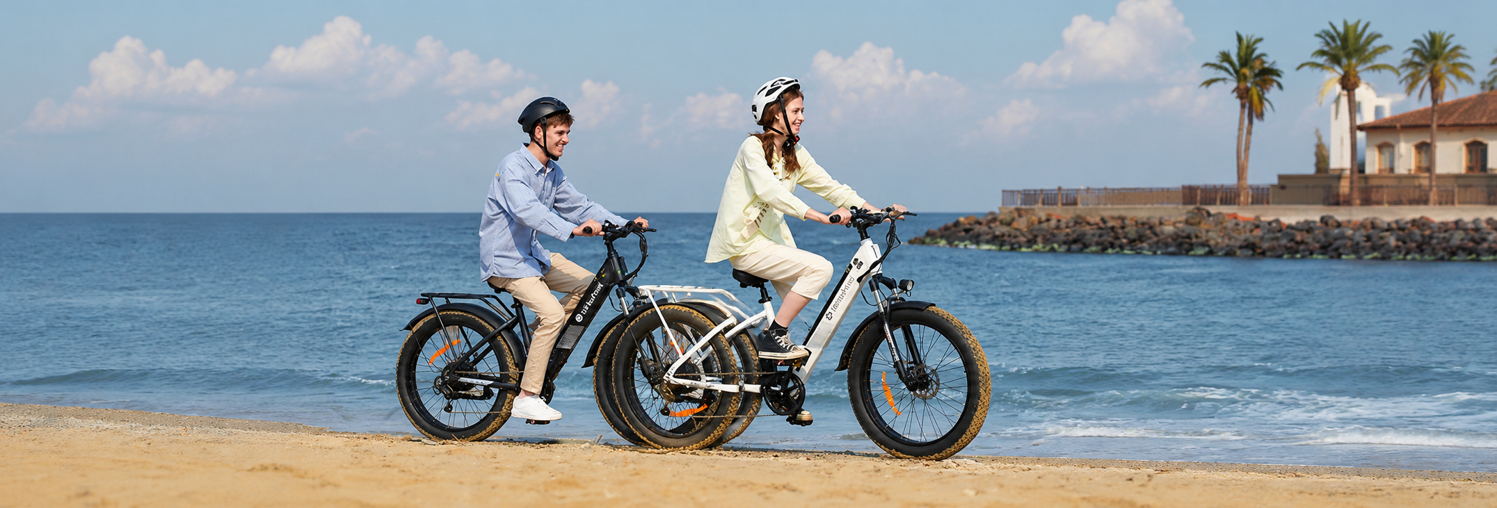 Electric Bikes