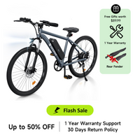 isinwheel M10 500W Electric Commuter Bike
