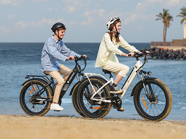 isinwheel M60 All-terrain Electric Bike