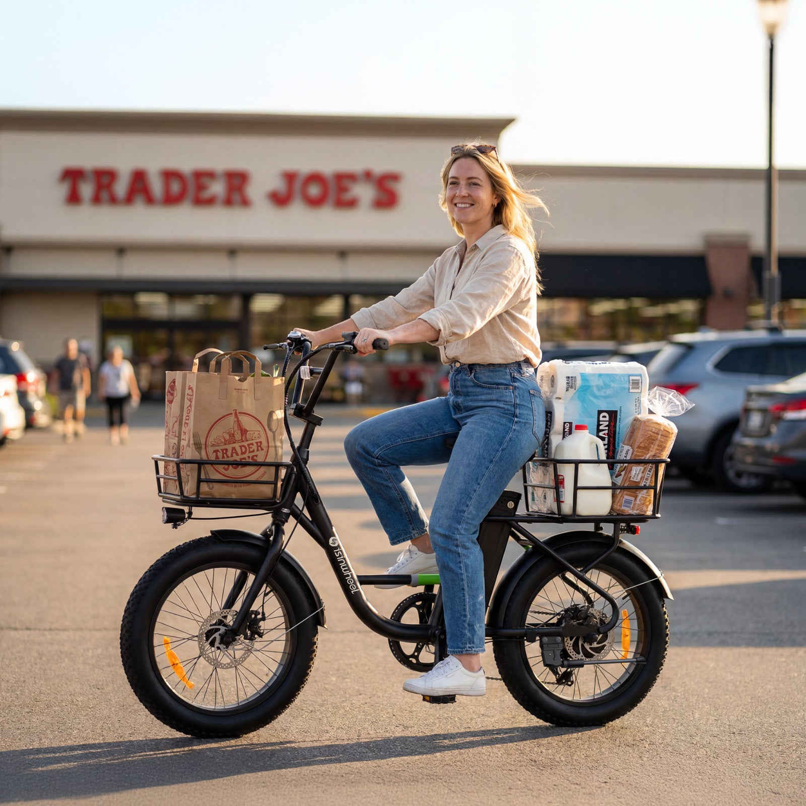 isinwheel U7 Series Cargo Bike