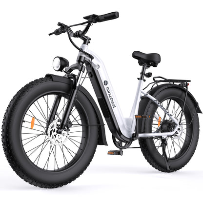 isinwheel U8 Ultra Electric Bike for Adults