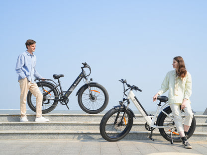 isinwheel M60 All-terrain Electric Bike