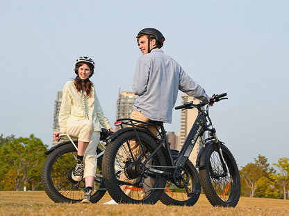 isinwheel M60 All-terrain Electric Bike
