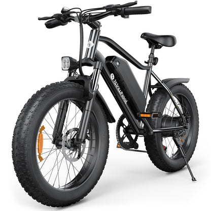 isinwheel M10Pro Electric Bike for Adults