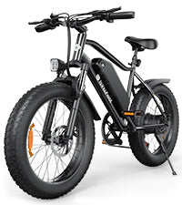 isinwheel M10Pro Electric Bike for Adults