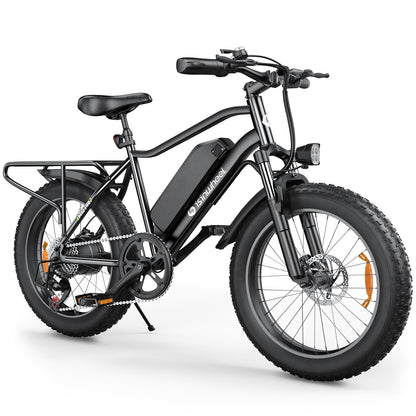 isinwheel M10Pro Electric Bike for Adults