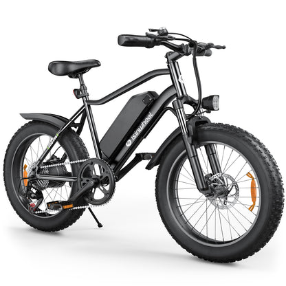 isinwheel M10Pro Electric Bike for Adults