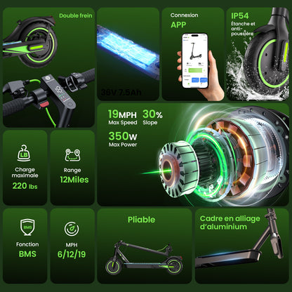 S9 Electric Scooter 350W