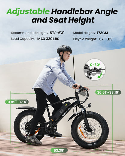 isinwheel M10Pro Electric Bike for Adults