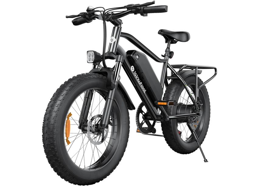 isinwheel M10 Pro All-Terrain Electric Bike, 20×4.0