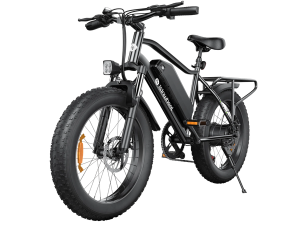 isinwheel M10 Pro All-Terrain Electric Bike, 20×4.0