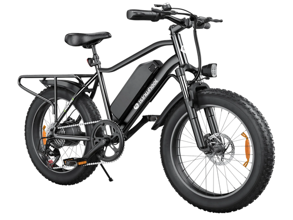 isinwheel M10 Pro All-Terrain Electric Bike, 20×4.0
