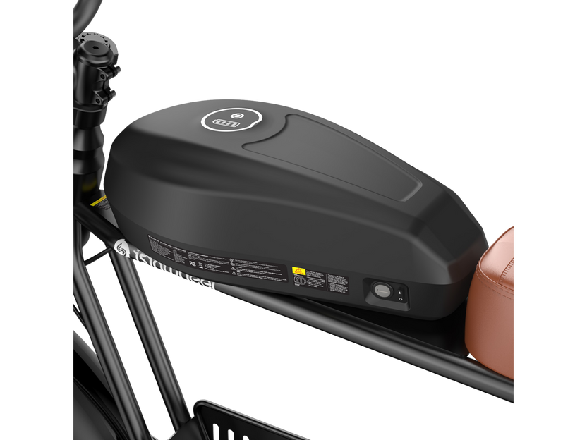 isinwheel R6 Pro Electric Dirt Ebike Combo