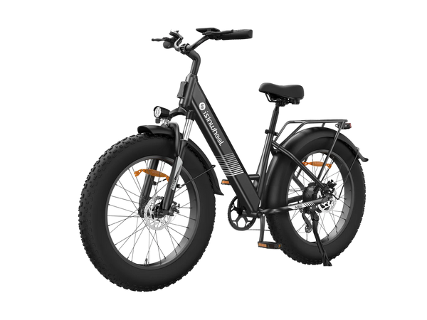 isinwheel M60 All-terrain Electric Bike, 48V 13Ah / White