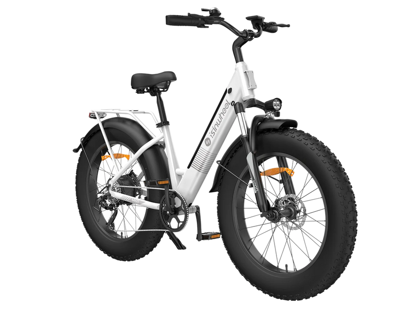 isinwheel M60 All-terrain Electric Bike