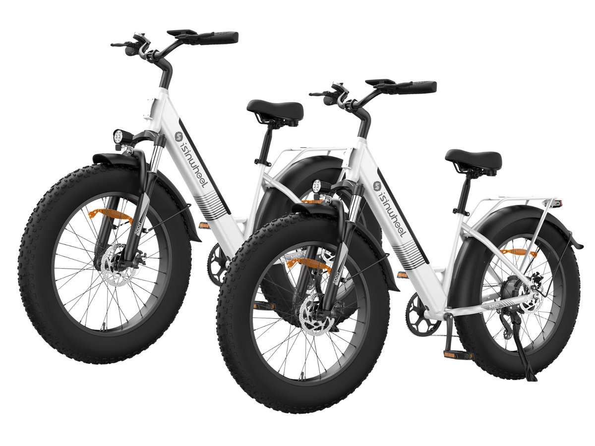 isinwheel M60 Electric Bike Combo