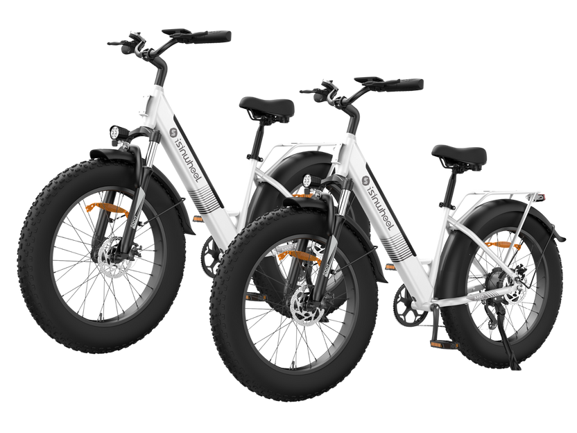 isinwheel M60 Electric Bike Combo