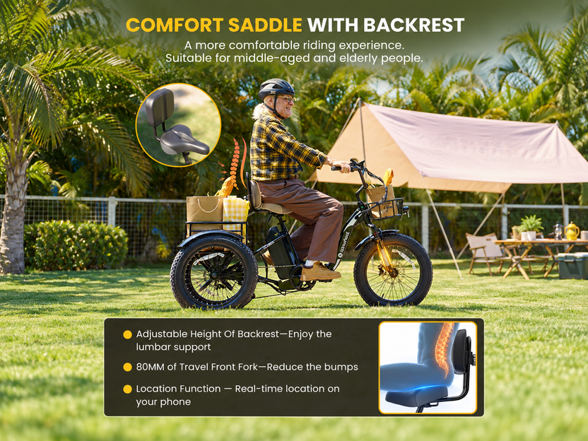 isinwheel Ucargo Electric Tricycle