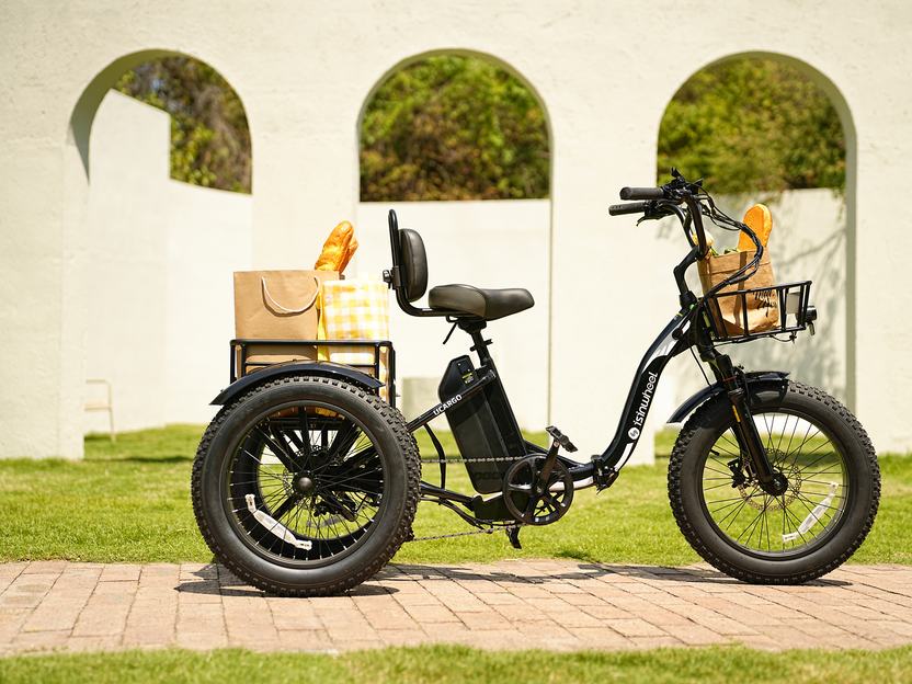 isinwheel Ucargo Electric Tricycle