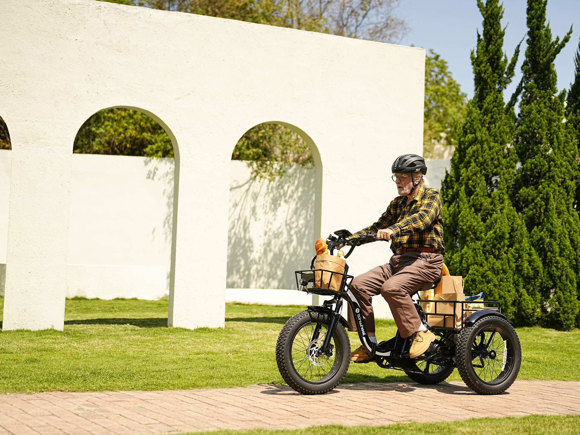 isinwheel Ucargo Electric Tricycle