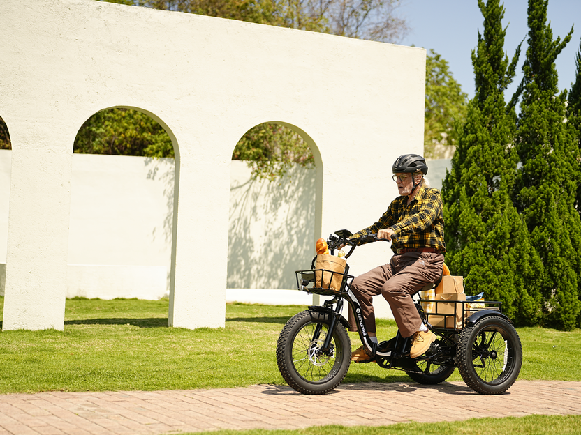 isinwheel Ucargo Electric Tricycle