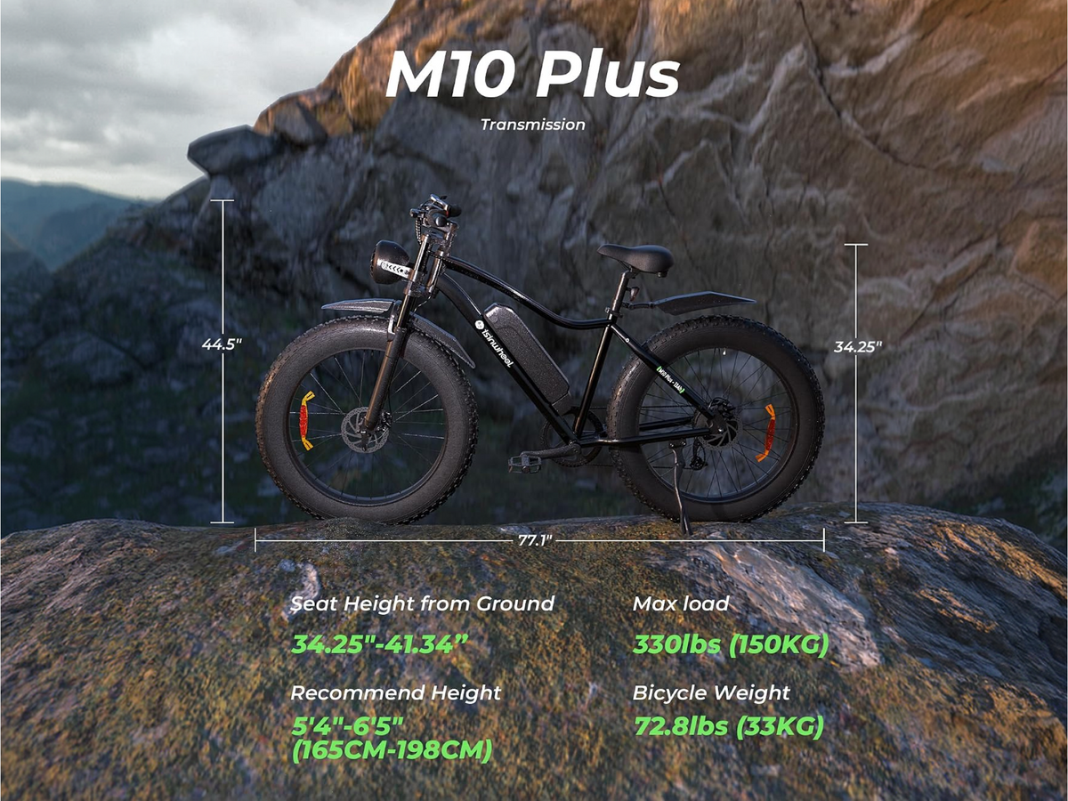 isinwheel M10Plus Electric Bike for Adults
