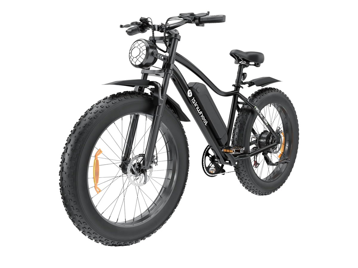 isinwheel M10Plus Electric Bike for Adults