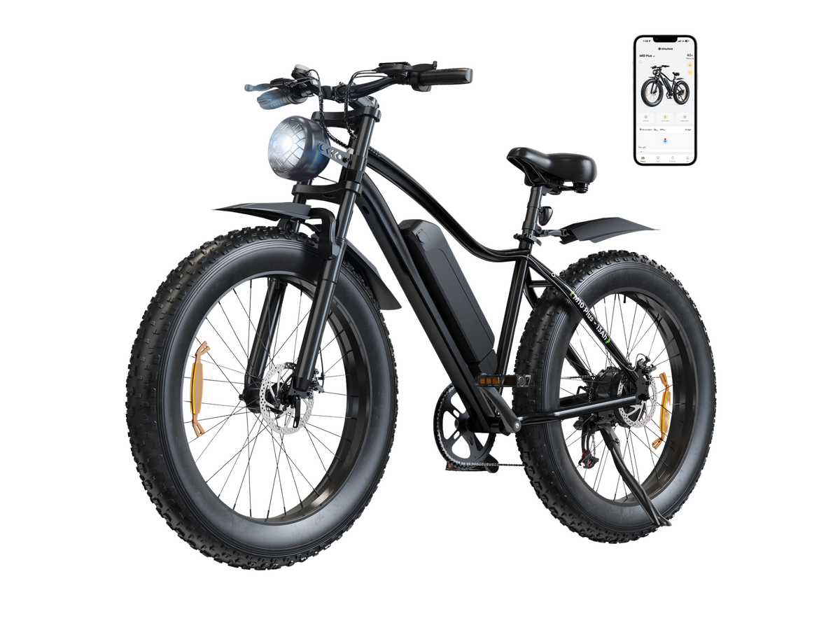 isinwheel M10Plus Electric Bike for Adults