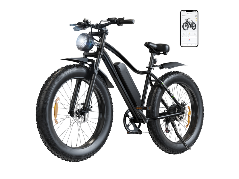 isinwheel M10Plus Electric Bike for Adults