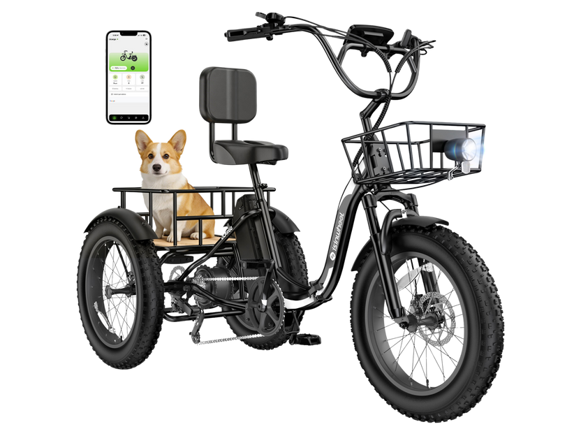 isinwheel Ucargo Electric Tricycle