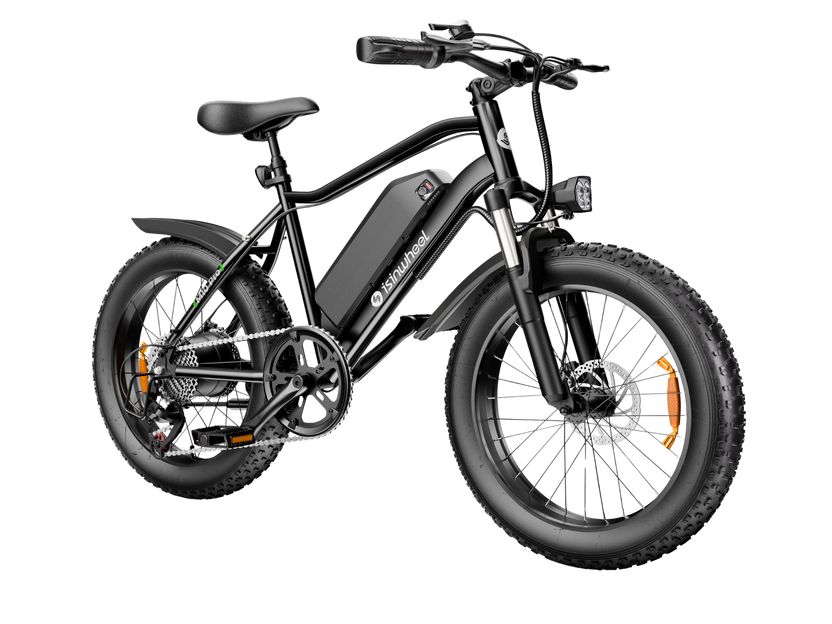 isinwheel M10Pro Electric Bike for Adults