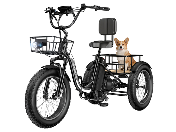 isinwheel Ucargo Electric Tricycle