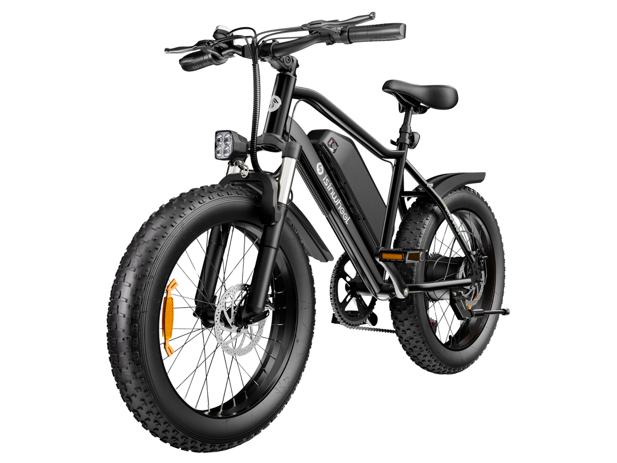 isinwheel M10Pro Electric Bike for Adults