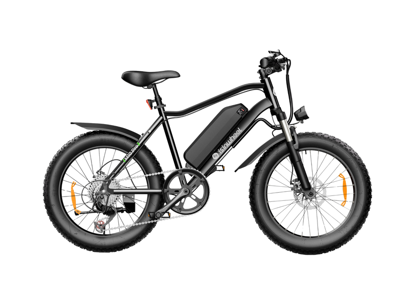 isinwheel M10Pro Electric Bike for Adults
