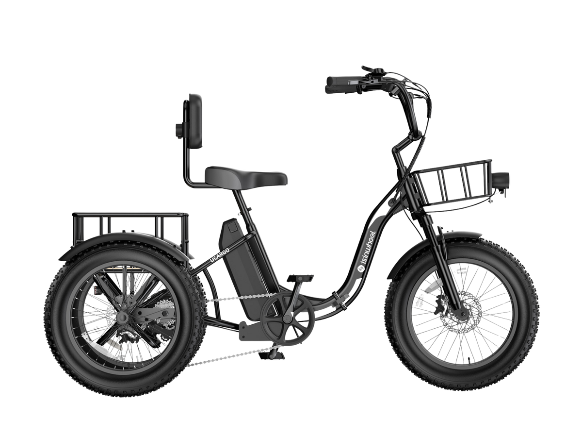 isinwheel Ucargo Electric Tricycle