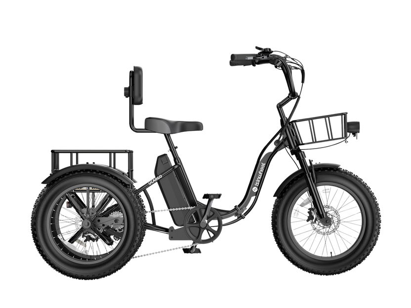isinwheel Ucargo Electric Tricycle