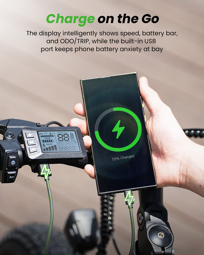 isinwheel M10Pro Electric Bike for Adults