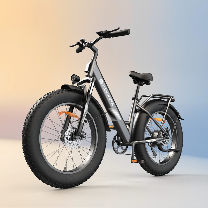 M60 Electric Bike