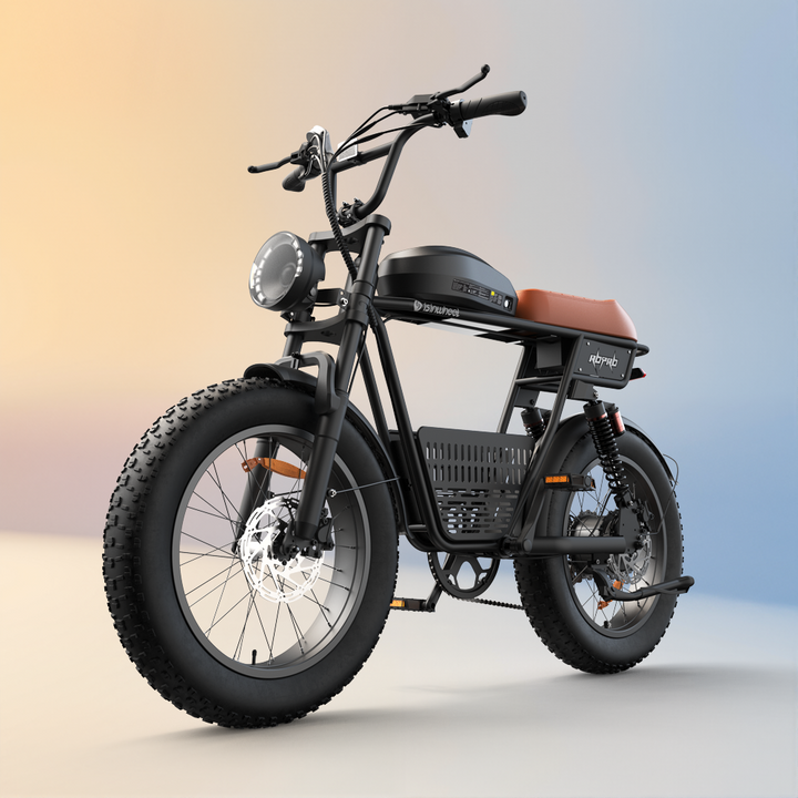 R6 Pro Retro Ebike