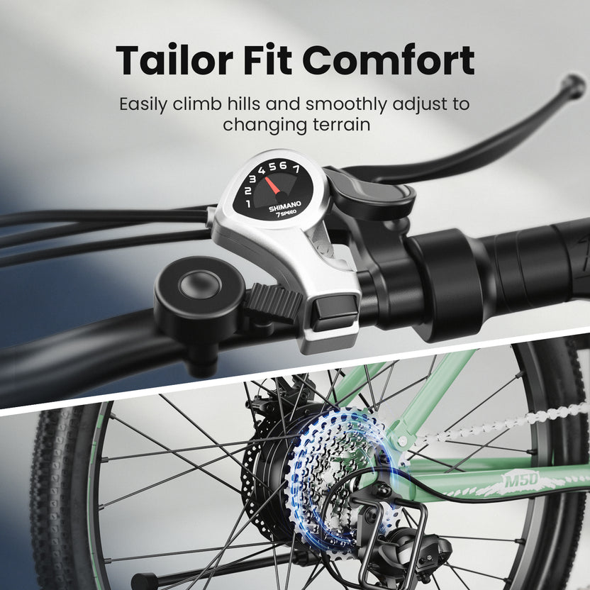isinwheel M50 Mountain Ebike