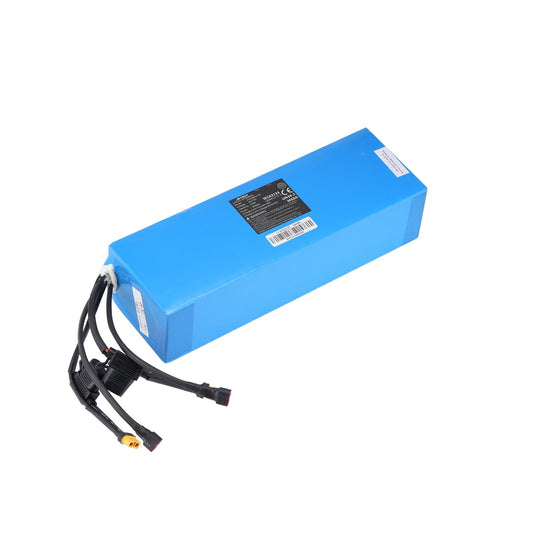 iSinwheel Official Store Isinwheel Battery for M/ R/ R Pro Off Road Electric Scooter
