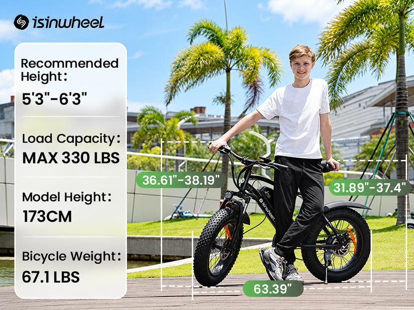 isinwheel M10Pro Electric Bike for Adults