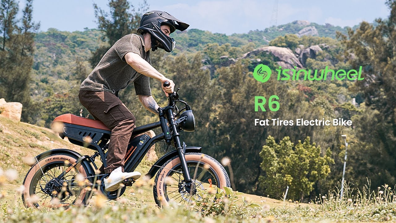 isinwheel R6 1000W Retro Electric Bike with Battery – iSinwheel
